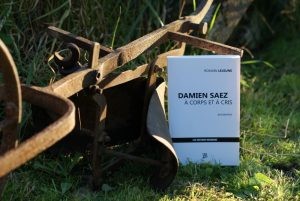 Biographie de Saez "Damien Saez à corps et à cris" par Romain Lejeune